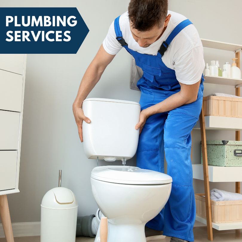 Plumbing Company in Saint Libory, IL